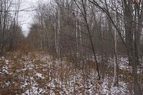 tbd 430th Ln, Mcgregor, MN 55760 photo 3