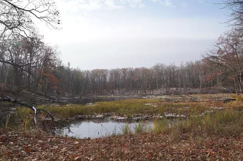 0 County Rd W, Rusk Twp, WI 54895