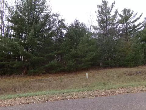 tbd Randall Lake Rd, Beaver Brook Twp, WI 54801