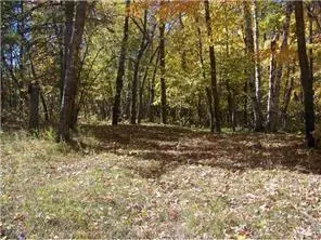 18656 County 40, Park Rapids, MN 56470 photo 2