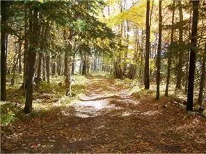 18656 County 40, Park Rapids, MN 56470