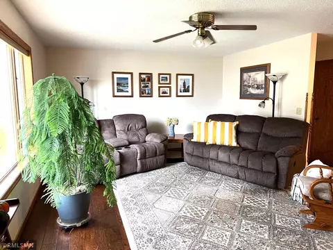 520 Delaware Ave, Adrian, MN 56110 photo 7
