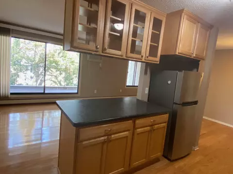 4110 Rahn Rd #307, Eagan, MN 55122