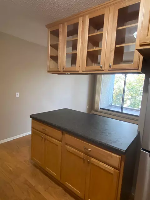 4110 Rahn Rd #307, Eagan, MN 55122 photo 3