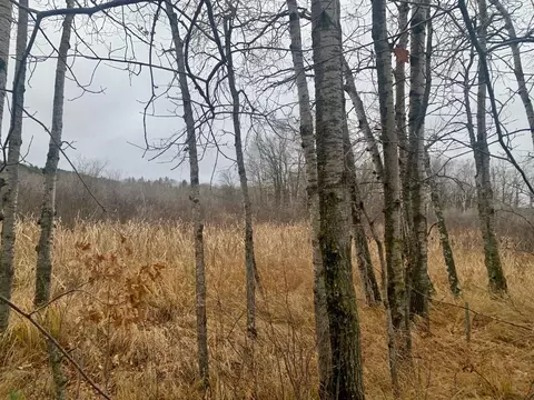 Tbd County Road 50, Hackensack, MN 56452 photo 6
