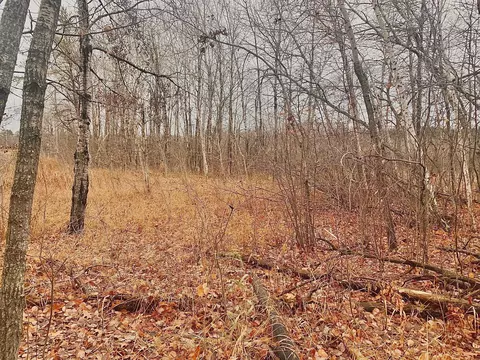 Tbd County Road 50, Hackensack, MN 56452 photo 5