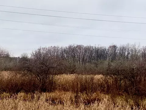 Tbd County Road 50, Hackensack, MN 56452