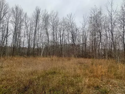 Tbd County Road 50, Hackensack, MN 56452 photo 3