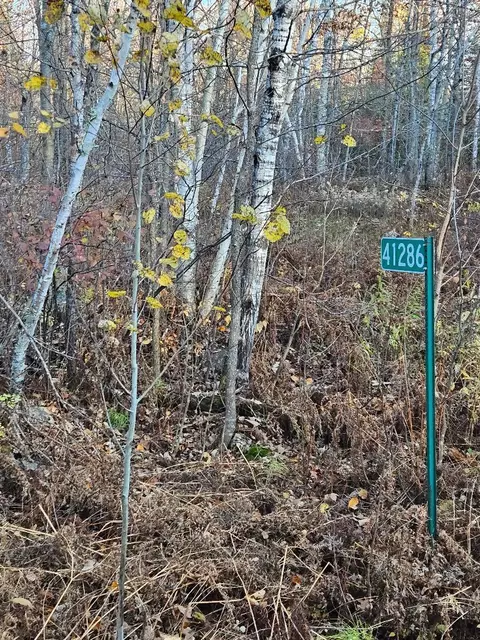 41286 Yellow Birch Ln, Emily, MN 56447