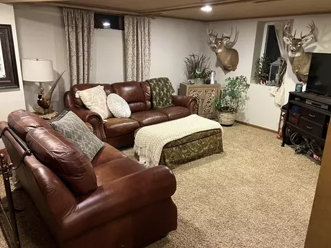 312 E 7th St, Adrian, MN 56110 photo 8