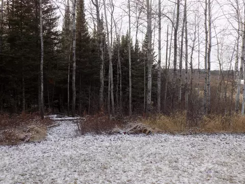 7603 Levander Rd, Embarrass, MN 55732 photo 28
