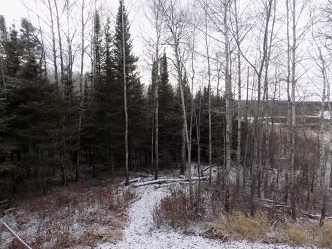 7603 Levander Rd, Embarrass, MN 55732 photo 31