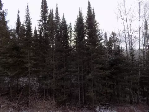7603 Levander Rd, Embarrass, MN 55732 photo 36