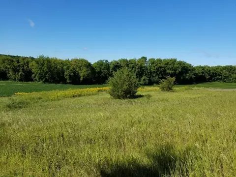 tbd County Road 115, Saint Augusta, MN 56301