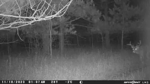 Tbd Co Rd 101, Compton Twp, MN 56482 photo 19