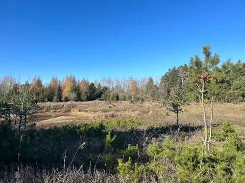 Tbd Co Rd 101, Compton Twp, MN 56482 photo 13