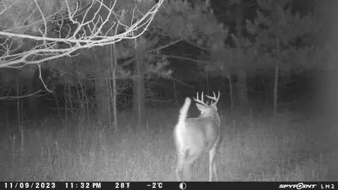 Tbd Co Rd 101, Compton Twp, MN 56482 photo 17