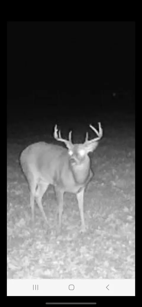 Tbd Co Rd 101, Compton Twp, MN 56482 photo 16