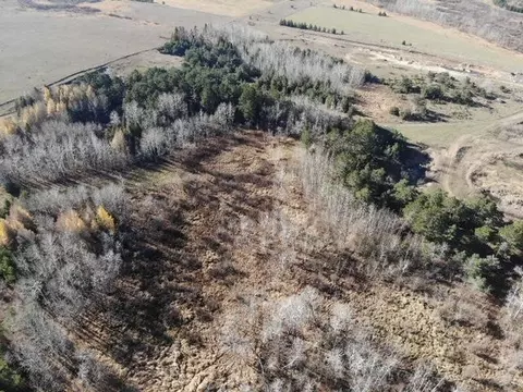 Tbd Co Rd 101, Compton Twp, MN 56482 photo 8
