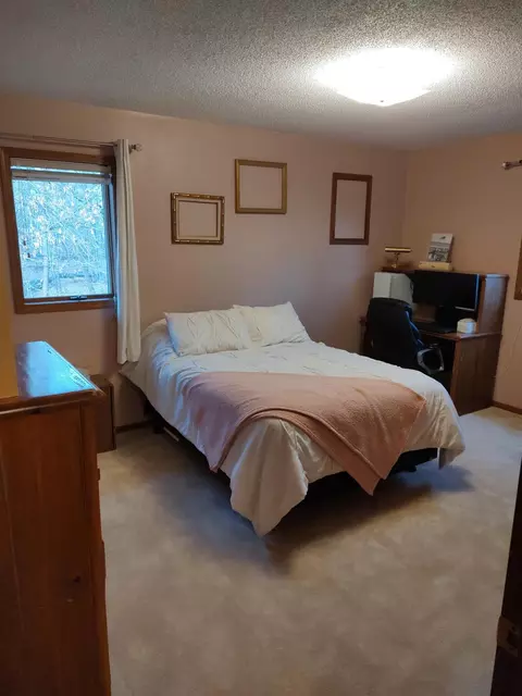 17558 Springwood Ln, Avon, MN 56310 photo 33