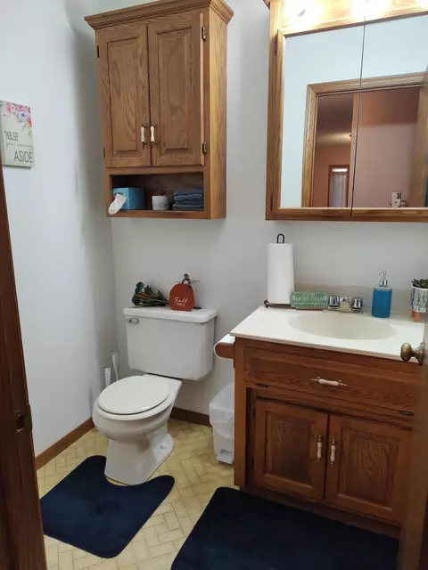 17558 Springwood Ln, Avon, MN 56310 photo 16