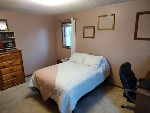 17558 Springwood Ln, Avon, MN 56310 photo 34