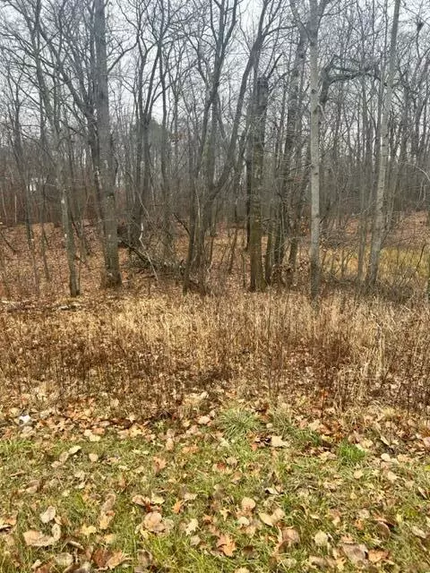 Nnn Lake Camile, Cushing, MN 56443