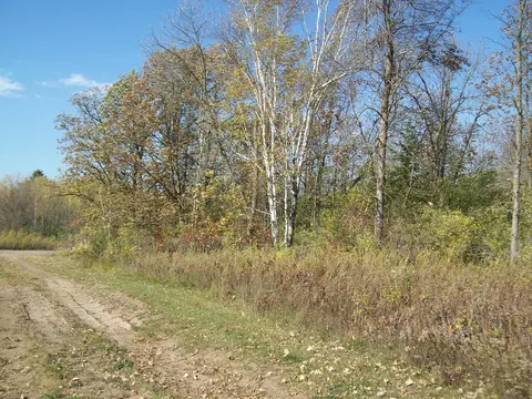 313 Eagle Dr, Sandstone, MN 55072 photo 45