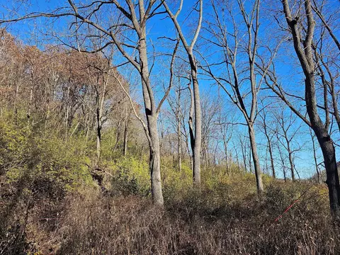 Nnnn Braeburn Road, Wilson Twp, MN 55987
