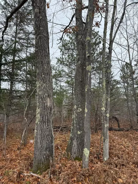68 Nn Hollander Rd, Iron River, WI 54847