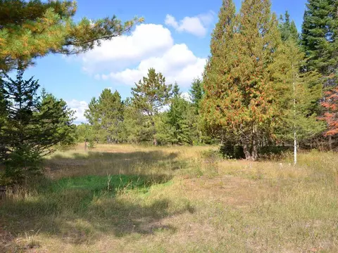 503 E River Dr, Park Rapids, MN 56470 photo 8
