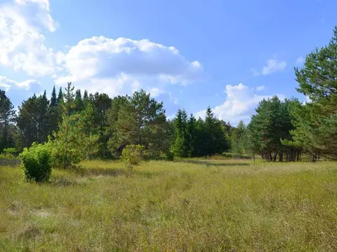 503 E River Dr, Park Rapids, MN 56470 photo 11