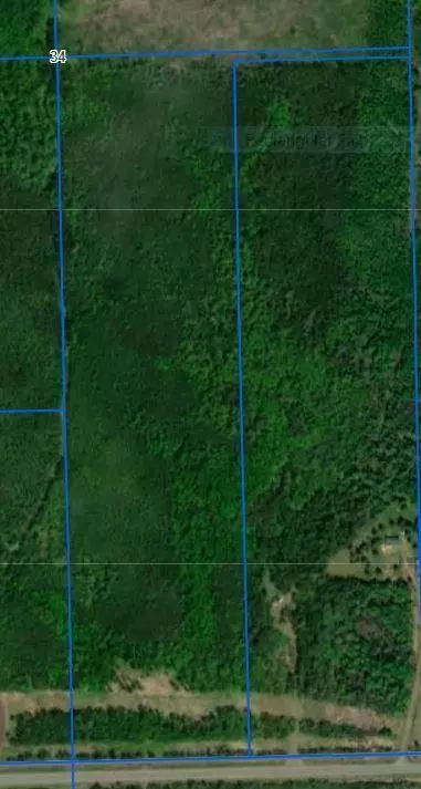 Tbd Hwy 11, Birchdale, MN 56629