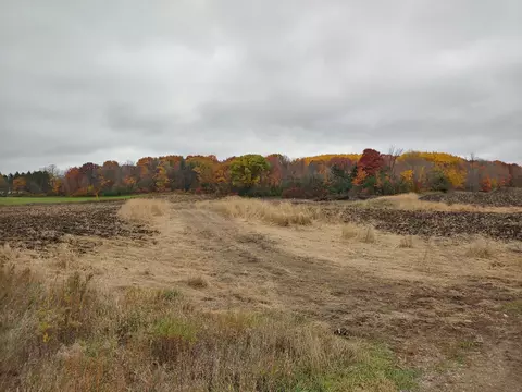 1 80th Street Northwest, Maple Lake Twp, MN 55313