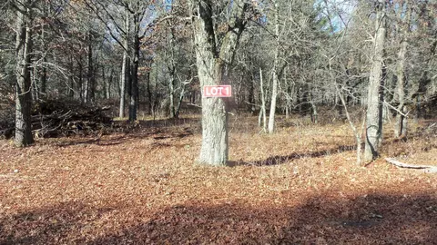 lot1 Riverview Trl, Grantsburg, WI 54840