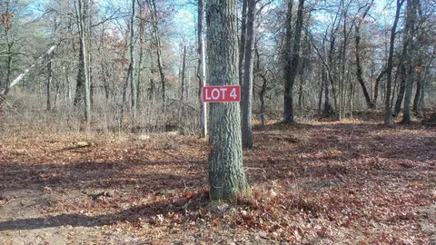 lot4 Riverview Trl, Grantsburg, WI 54840