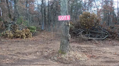 lot5 Riverview Trl, Grantsburg, WI 54840