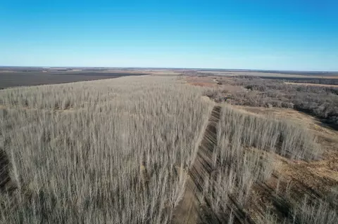 Tbd State Hwy 220, Stephen, MN 56757 photo 6