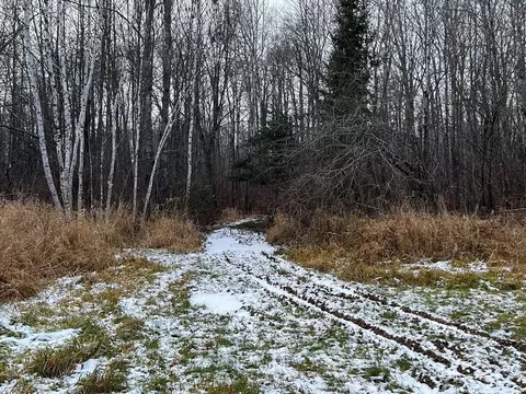 6100 Herranen Rd, Wright, MN 55798 photo 34