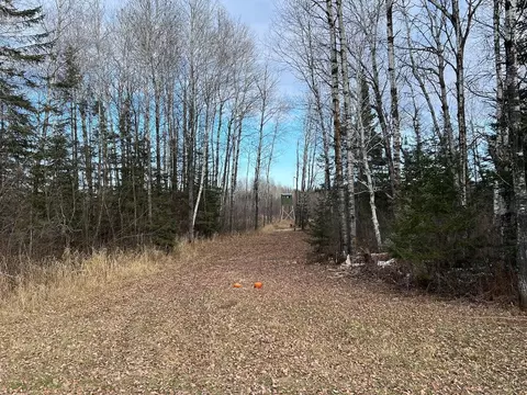 6100 Herranen Rd, Wright, MN 55798 photo 20