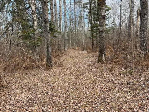 6100 Herranen Rd, Wright, MN 55798 photo 37