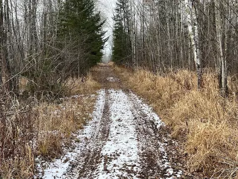 6100 Herranen Rd, Wright, MN 55798 photo 35