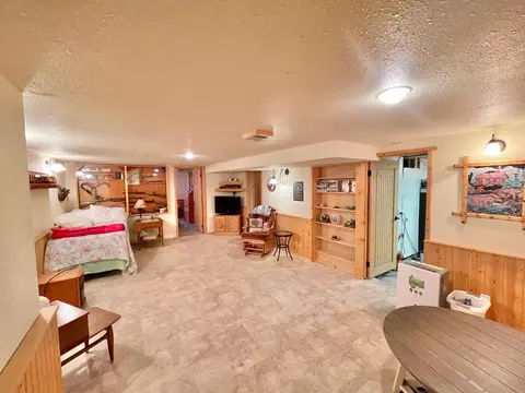 332 N Spring Ave, Springfield, MN 56087 photo 38