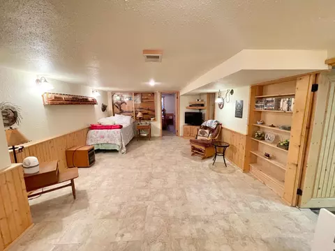 332 N Spring Ave, Springfield, MN 56087 photo 39