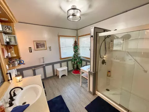 332 N Spring Ave, Springfield, MN 56087 photo 29
