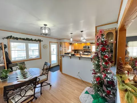 332 N Spring Ave, Springfield, MN 56087 photo 28