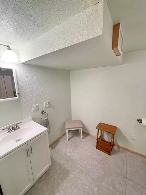 332 N Spring Ave, Springfield, MN 56087 photo 48