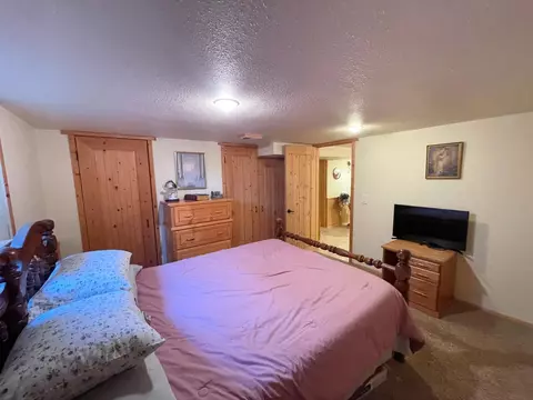 332 N Spring Ave, Springfield, MN 56087 photo 42