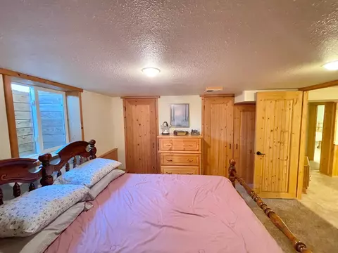 332 N Spring Ave, Springfield, MN 56087 photo 43