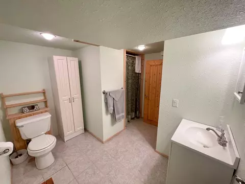 332 N Spring Ave, Springfield, MN 56087 photo 46